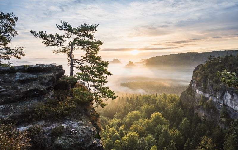 Landscape, Kleiner Winterberg, cliff, tree, Hiking, rock - Object, Natur, mountain, nature, Saxon Switzerland, Smoky mountain national park, Sun  Light