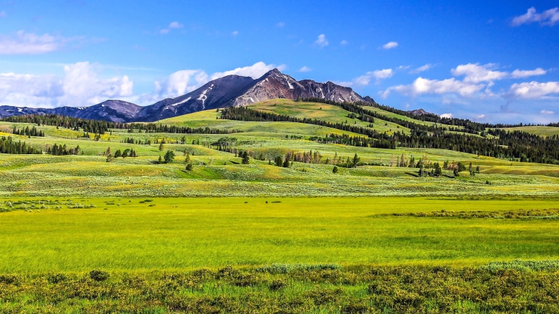 grass, blue sky, Yellowstone, Wyoming, near, europe, outdoors, West, Mountain, nature, field, sky, Plain, meadow, scenics, rural Scene, green Color, Scenic