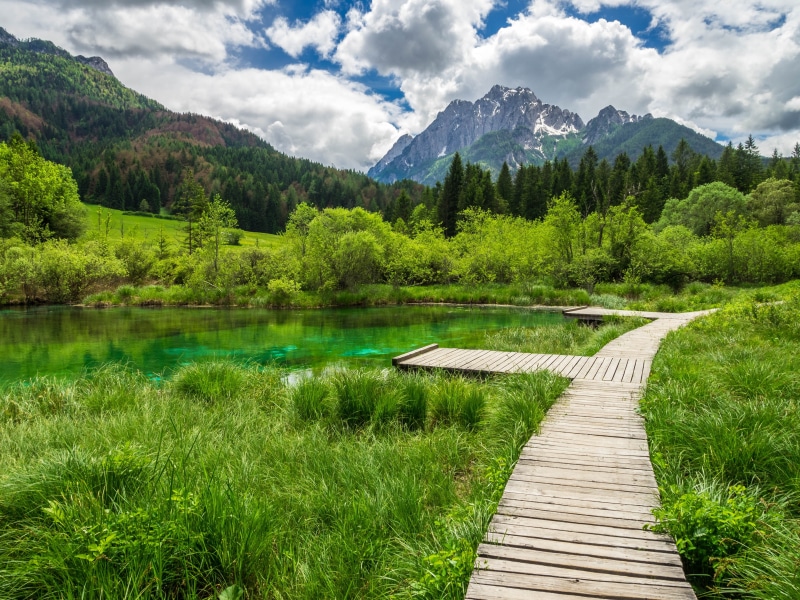 mountain range, no people, green color, lake, 4K, footpath, sava, beauty in nature, wood - material, slovenia, tree, cloud - sky, source, zelenci, landscape