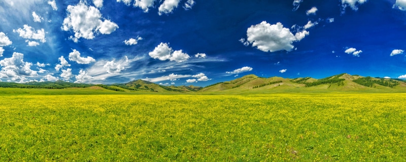 clouds, yellow, scenics, the valley of flowers, green, landscape, no people, june, bright, scenics - nature, plant, tranquil scene, field, daytime, blue