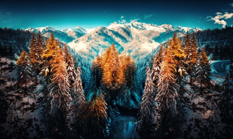 day, pine tree, 5K, mountain range, winter, trees, coniferous tree, scenics - nature, tree, plant, mountain peak, snowcapped mountain, mountains, snow