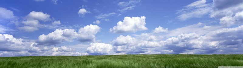 panoramic, environment, beauty in nature, grass, no people, landscape, horizon over land, wind, cloud - sky, atmosphere, multiple display, field, horizon