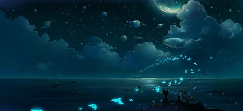 underwater, marine, animal, animal wildlife, tank, sea life, whale, blue, clouds, cat, group of animals, illustration, group of people, birds, outdoors