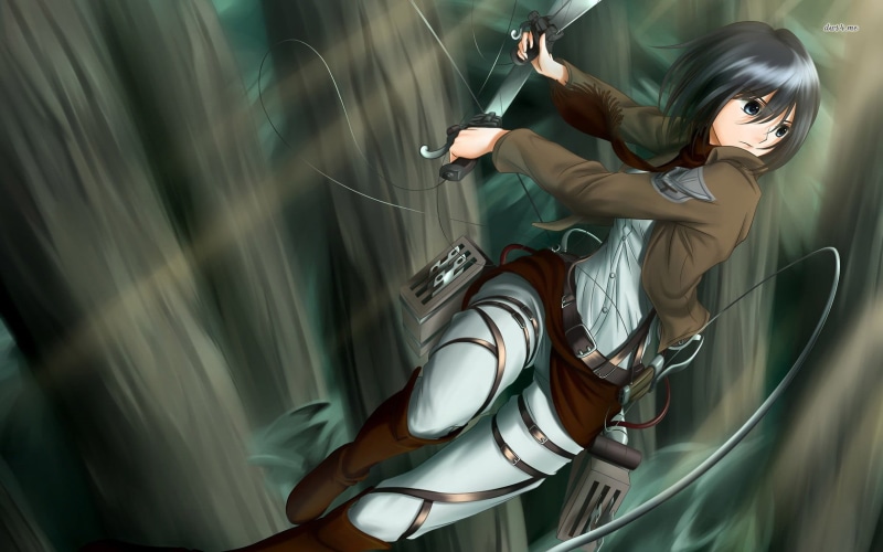casual clothing, women, Shingeki no Kyojin, young adult, titan, nature, one person, hair, mikasa, young women, 720P, selective focus, outdoors, anime