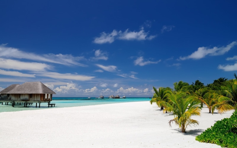 green, outdoors, land, landscape, resort, sky, tranquility, trees, no people, beach, tropical, beauty in nature, horizon over water, Maldives, leafed, scenics - nature