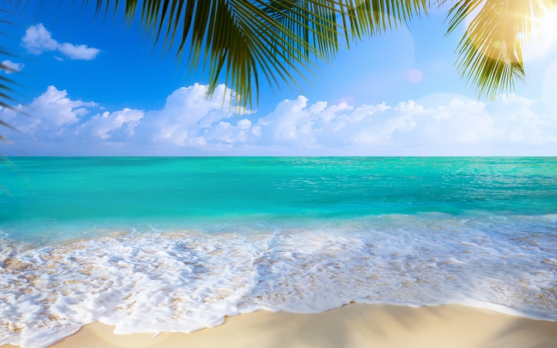 sand, palm trees, palms, white, tropical, Sea, beach, paradise, 2K, summer, salts, shore