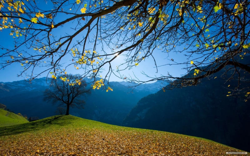 2K, scenery, mountain, nature, beautiful