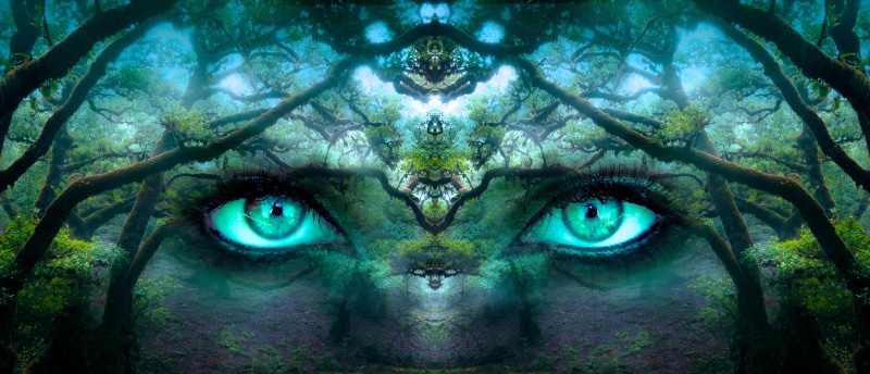 see, human body part, mysterious, forest, watch, symmetrical, perception, view, beautiful woman, expressive, eyes, blue, close-up, mystical, green, awareness