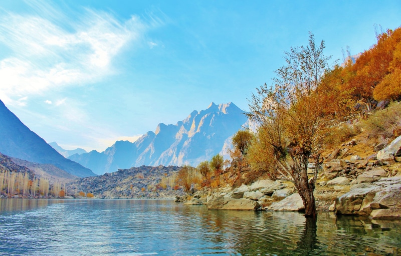 idyllic, Tree, waterfront, travel, tranquil scene, beauty in nature, Pakistan, water, non-urban scene, mountain range, upper kachura lake, colorful, outdoors