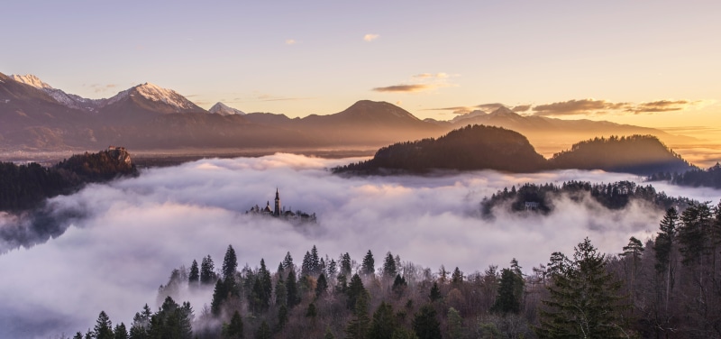environment, tranquility, landscape, pine woodland, tranquil scene, scenics - nature, nature, panoramic, mountain peak, land, tree, misty, mountain range