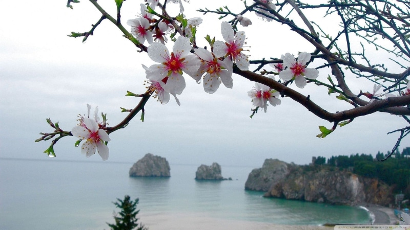 x, 1080P, nature, art, Landscapes, seasons, spring, hd, season