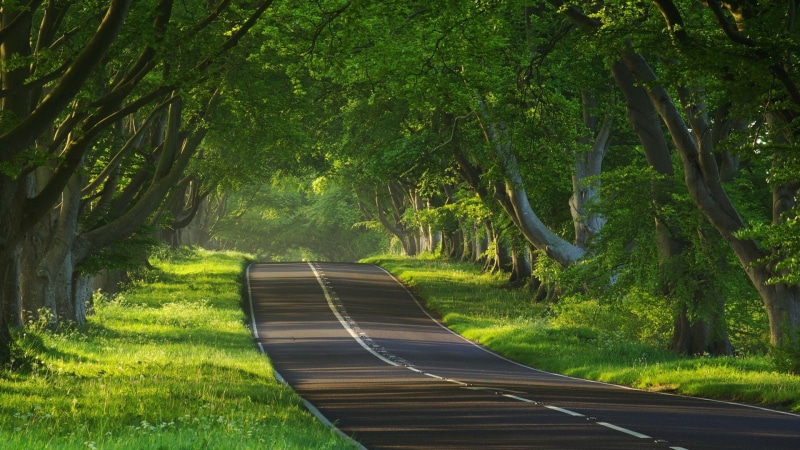 download nature  full size 1920x1080, 1080P