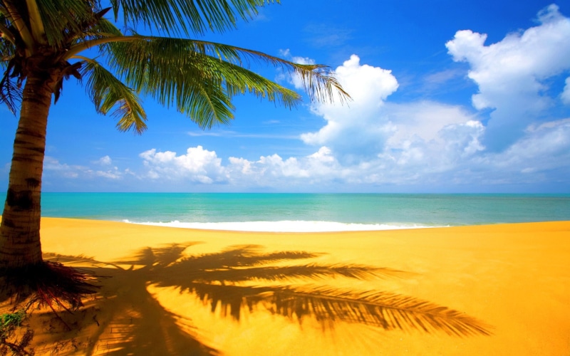 1080P, full hd nature  1080p 1920x1200