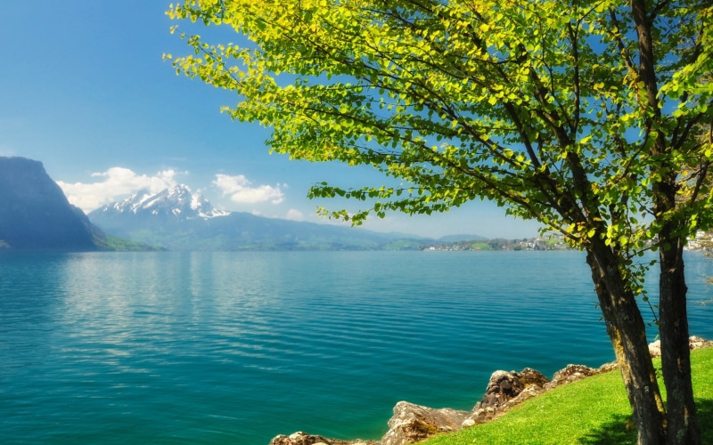 land, mountain, sky, outdoors, tranquility, plant, 1080P, tree, water, sea, non-urban scene, nature, beauty in nature, blue, download full size nature  1920x1200