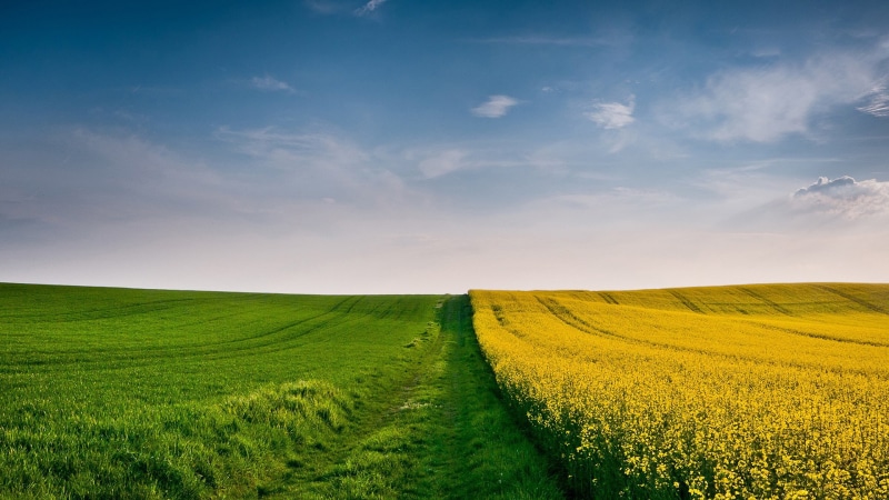 growth, field, 1080P, land, horizon over land, hd image of nature for pc 1920x1080, green color, springtime, no people, farm, tranquil scene, crop, rural scene