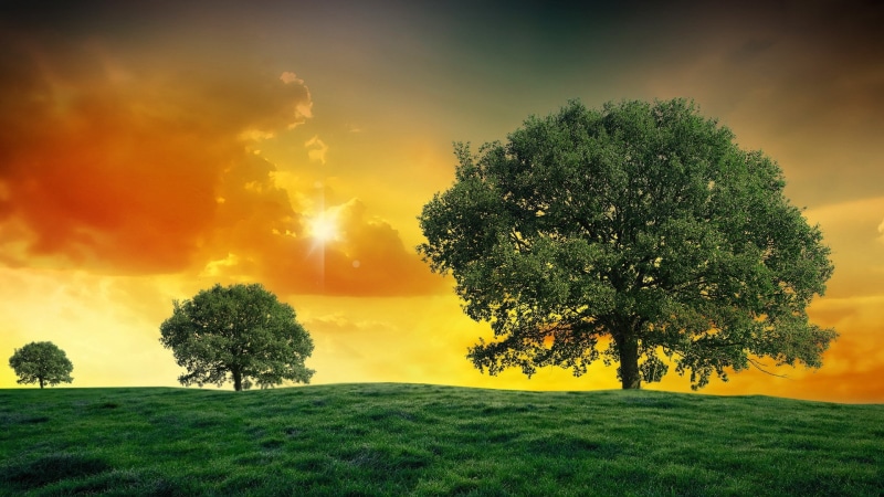 nature hd  for pc download 1920x1080, 1080P