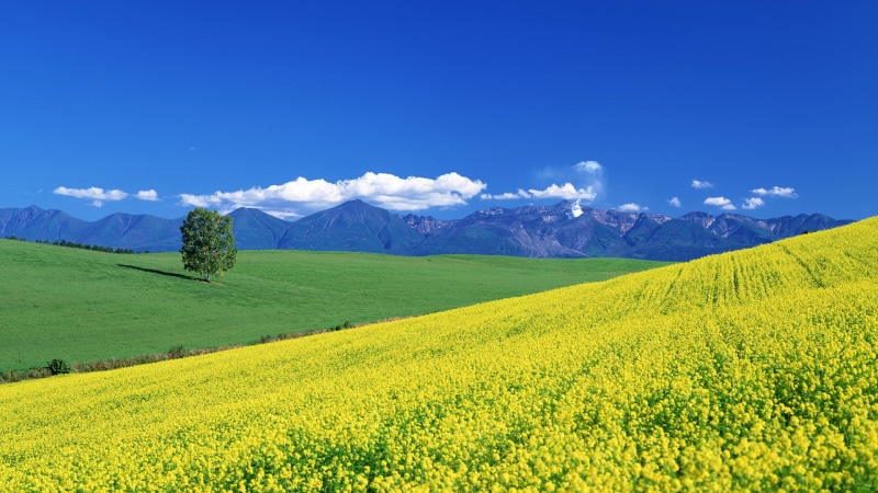 1080P, hd image of nature for pc 1920x1080