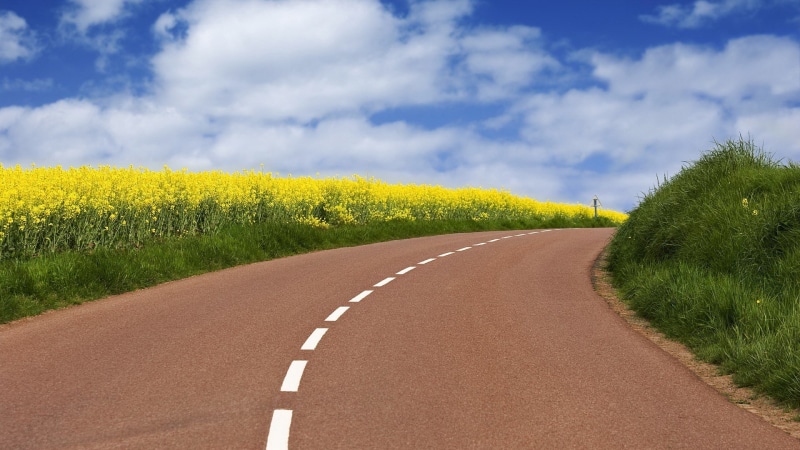no people, plant, nature, marking, tranquility, road marking, field, transportation, growth, road, beauty in nature, the way forward, diminishing perspective