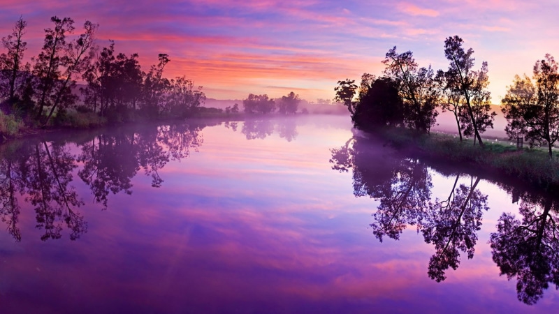 sky, non-urban scene, no people, download nature  for pc 1920x1080, tranquility, waterfront, fog, lake, purple, outdoors, plant, tree, cloud - sky, growth