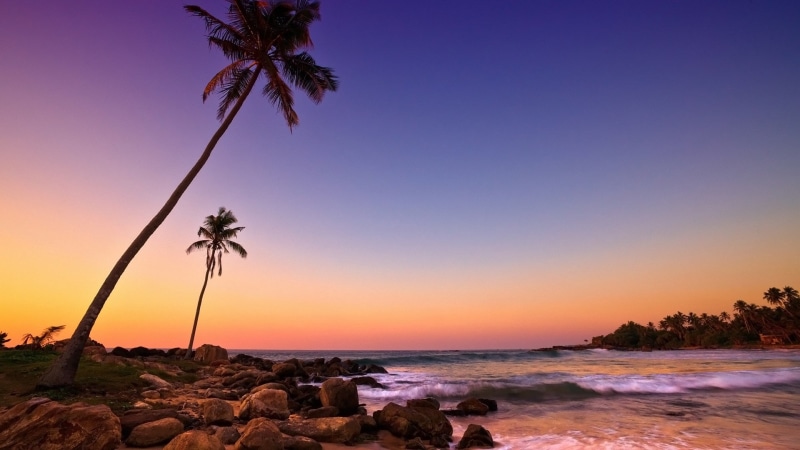 water, beauty in nature, plant, coconut palm tree, solid, sky, beach, sea, tropical climate, sunset, tranquil scene, pc  nature hd pictures 1920x1080, tree