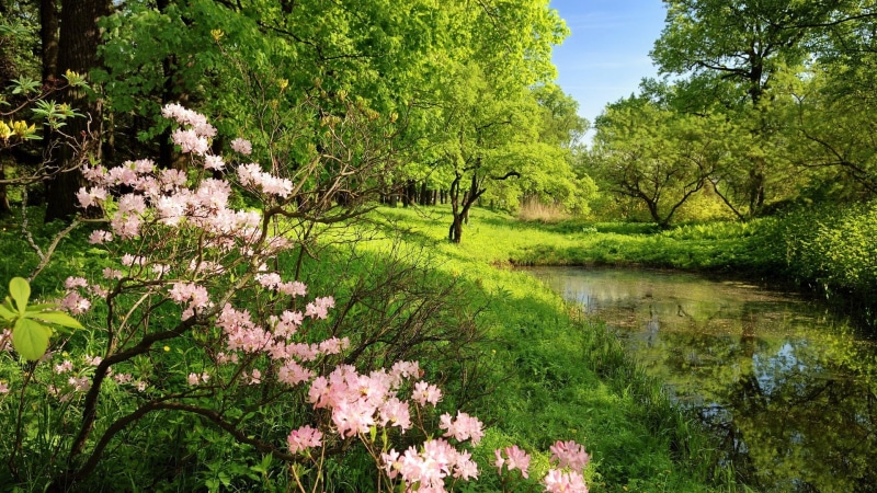 hd image of nature for pc 1920x1080, 1080P