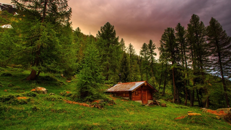 mountain, forest, switzerland, green, cottage, sky, alps, wilderness, hut, woody plant, tree, shack, 4K, nature, woodland