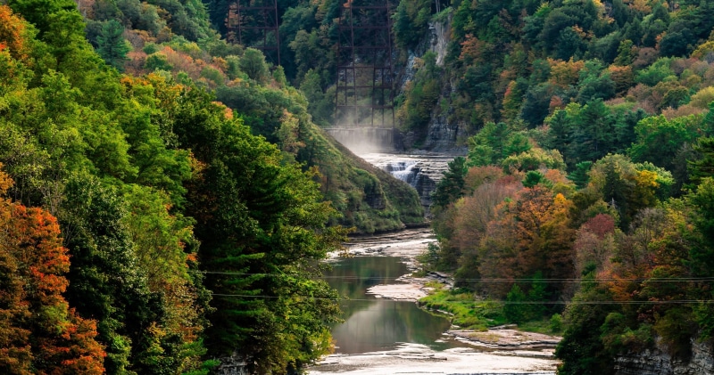 landscape, water, brown, 4K, no people, trees, power in nature, beauty in nature, scenics - nature, flowing, green, change, mist, plant, flowing water