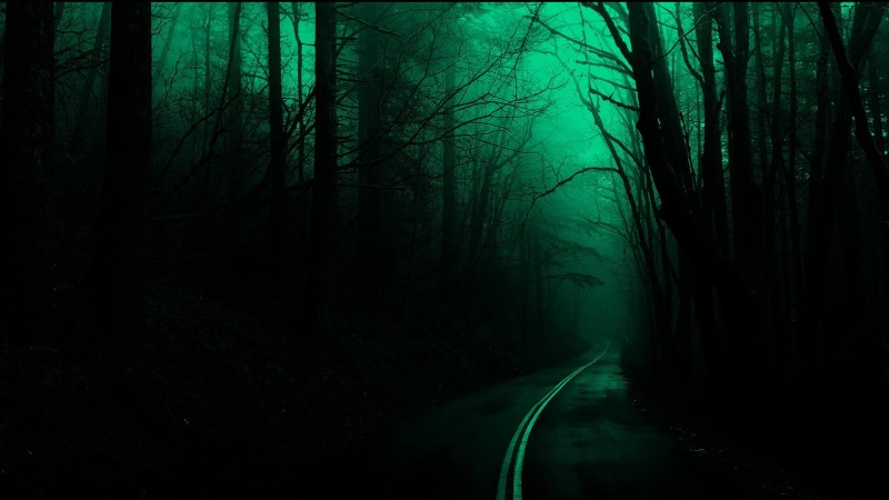 trees, tranquil scene, silhouette, spooky, plant, tranquility, land, trunk, beauty in nature, non-urban scene, direction, woodland, nature, dark, forest