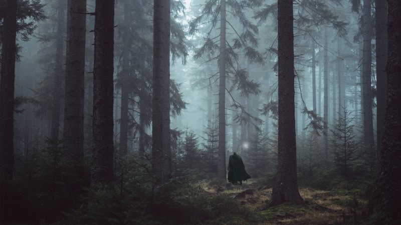 Tree, Forest, Berserk, Guts (Berserk), 2K, Anime