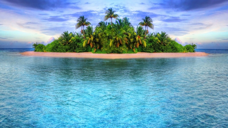 sand, coast, nature, horizon, palm tree, plant, clear, tree, seascape, cloud - sky, idyllic, contemplation, swimming pool, sunny, bay, travel, coconut palm tree