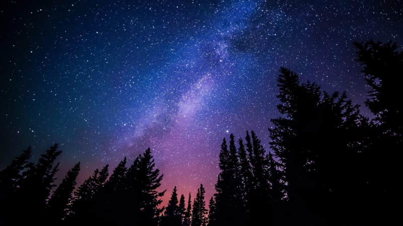 atmosphere, astronomy, darkness, phenomenon, star, tree, galaxy, milky way, sky, nature, astronomical object, atmosphere of earth, space, pine trees, 4K