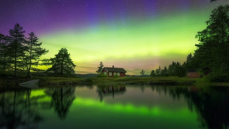 reflection, aurora, water, phenomenon, sky, ringerike, aurora borealis, norway, tree, night, lake, 1080P, northern lights, house, atmosphere, nature, polar lights