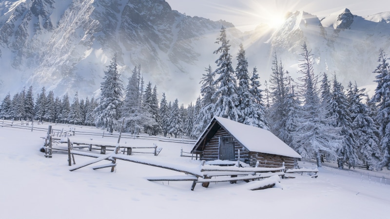 cloud, arctic, sky, tree, snow, mountain, freezing, mountainous landforms, shack, 4K, frost, mountain range, winter