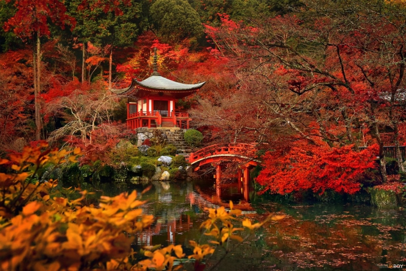 Japan, Kyoto, Daigo-ji, Pagoda, Fall, Nature, Temples, 1080P, Bridge