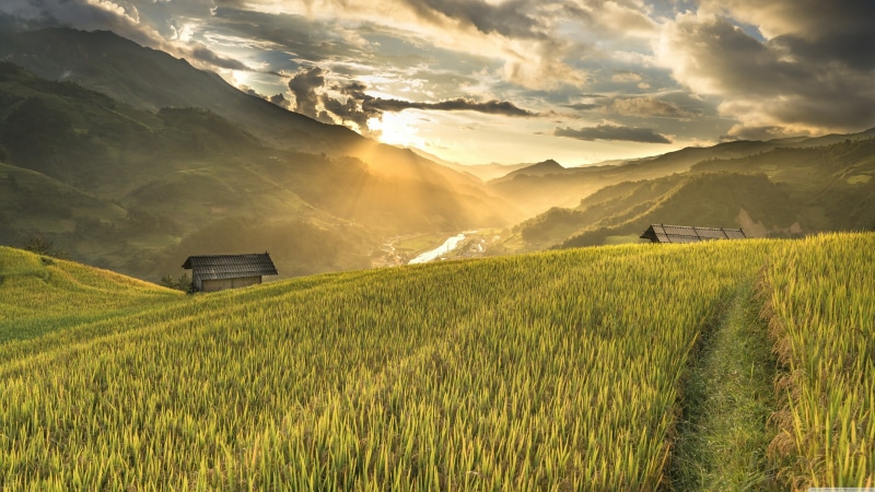 sky, sunlight, hill, hut, grass, terrace, sunrise, vietnam, hoang su phi, ha giang, highland, asia, hoang suphi, 4K, rice field, mount scenery, morning