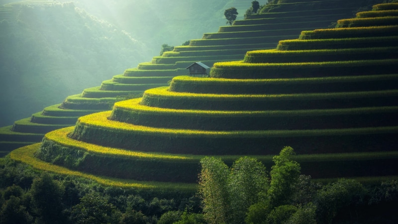 nature, mountain, green color, bali, outdoors, landscape, green, 1080P, rice terrace, field, land, environment, dirt, plant, curve, gardening, terrace