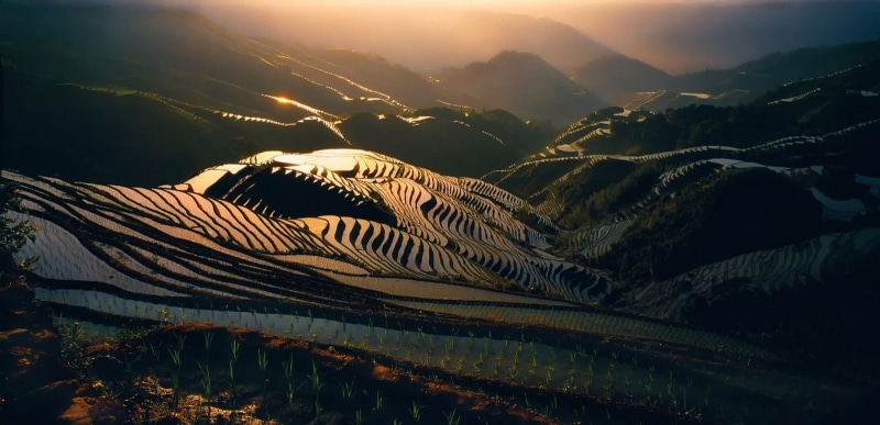 720P, nature, landscape, rice paddy, China, mist, field, terraces, hills, sunlight