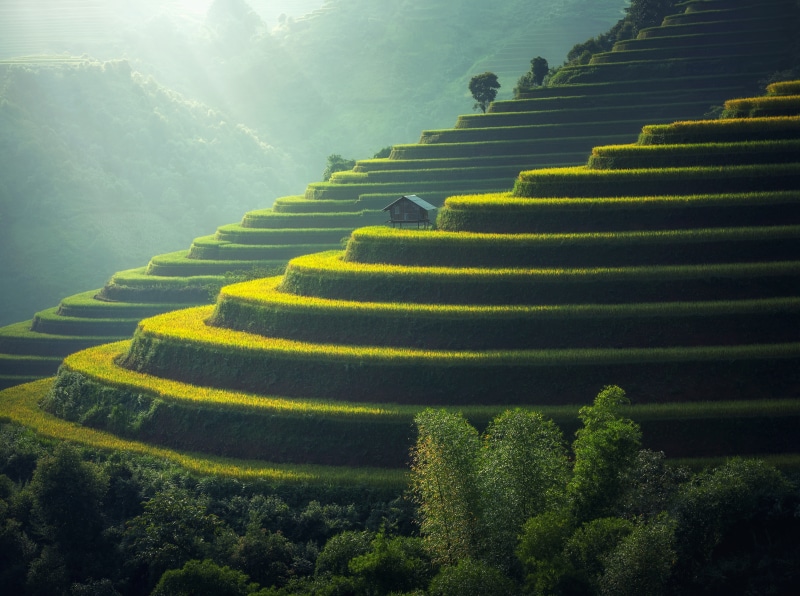 outdoors, Mist, visit, plantation, Asia, rice paddy, crops, Green, rice fields, Travel, rice terraces, tourism, Rice, farm, Tropical, Mountain, 5K, dirt