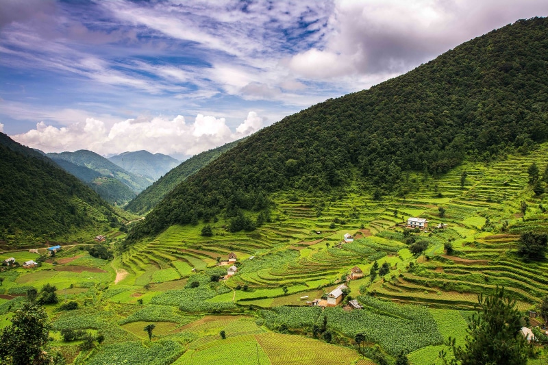 mountain, mountains, terraces, growth, rice  paddy  fields, roadtrip, my_choice, green Color, valley, cloudy, first, asia, rural Scene, scenics, sa Pa