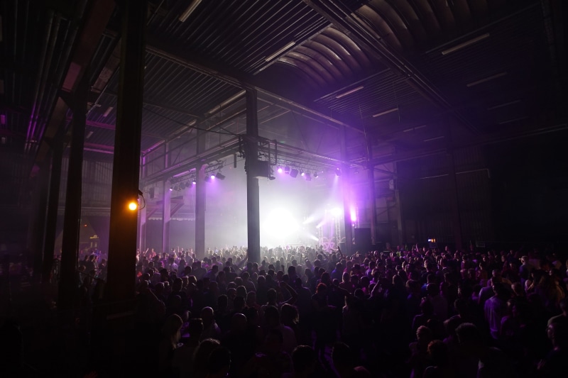 purple, large Group Of People, stage light, entertainment, Crowd, live event, concert party, music, stage, women, nightlife, spectator, event, illuminated