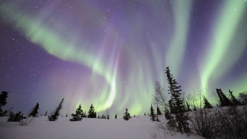 aurora, northern, night, borealis, hd, snow, stars, nature, 1080P, lights, winter