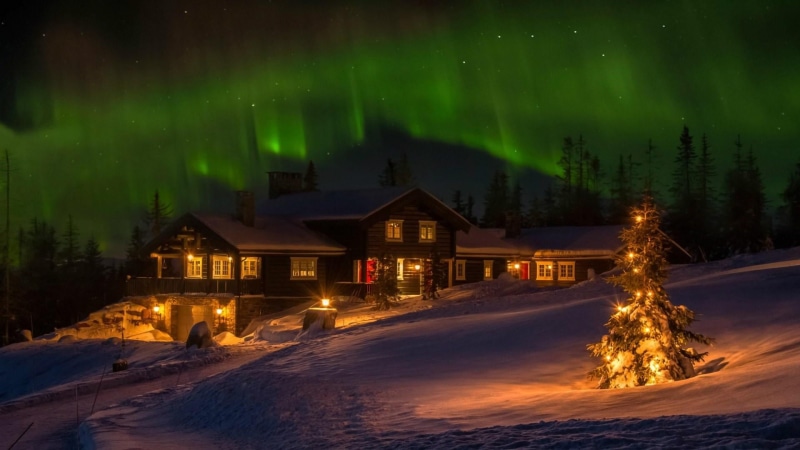 tree, christmas lights, northern lights, christmas day, building, winter, illuminated, cold temperature, no people, phenomenon, building exterior, 1080P
