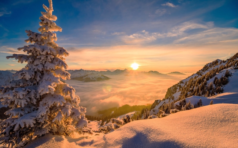 sunrise, Sun, trees, pine trees, nature, snow, winter, 1080P, mountains, mist