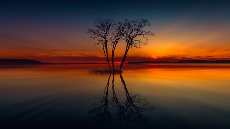 dusk, romantic sky, tranquility, lonely tree, idyllic, no people, horizon, beauty in nature, 4K, afterglow, tree, atmosphere, sunrise, non-urban scene