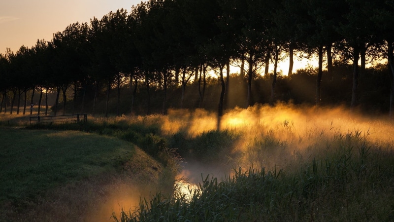 evening, water, atmosphere, sunrise, clouds, tree, cloud, sun, tranquil, dawn, sea, land, beauty in nature, tranquility, silhouette, forest, lake, bright