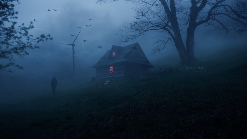 surreal, dusk, birds, ambient, house, Terror, nature, horror, 4K, environment, walking, animals, trees, dark, people, atmosphere, forest, creepy, shadow