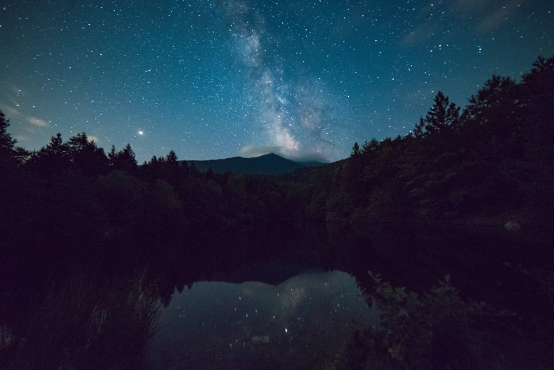stars, tree, galaxy, milky way, star - space, starry night, universe, space, astrology, lake, outdoors, view, astronomy, night, space and astronomy, plant
