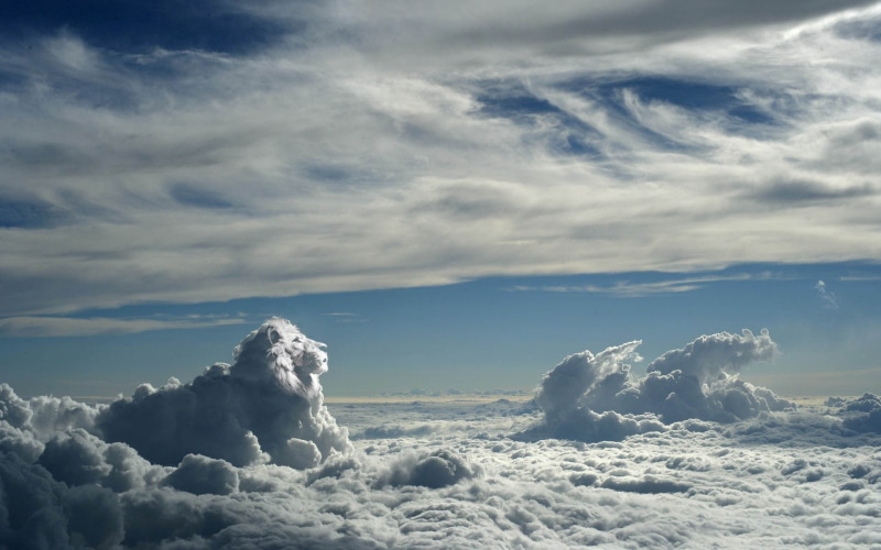 artwork, horizon, animals, non-urban scene, no people, tranquility, digital art, cloud - sky, day, blue, cold temperature, lion, beauty in nature, tranquil scene