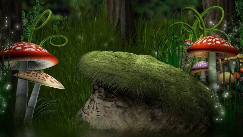 art, magic, dream, mushroom, 1080P, fantasy, artwork, mushrooms, forest, dreamland