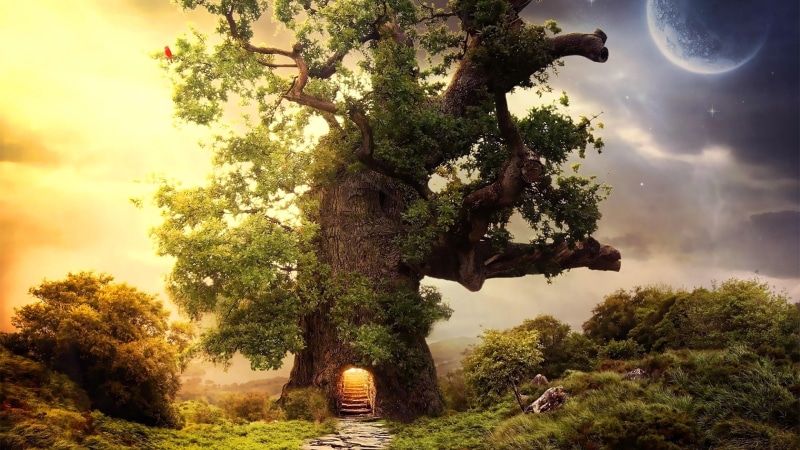 branch, dreamland, landscape, sky, nature, imagination, sunlight, sun, treehouse, grass, moon, dream, tree, digital art, fantasy digital art, moonlight